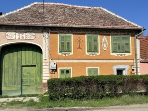 Exterior detail - Renovated old farmhouse with great opportunities nearby (Alțâna)