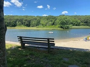 Un banco junto a un lago con un bosque de fondo.