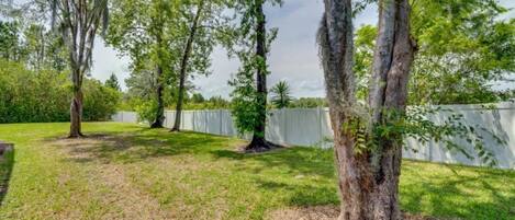A grassy yard with trees and a white fence.