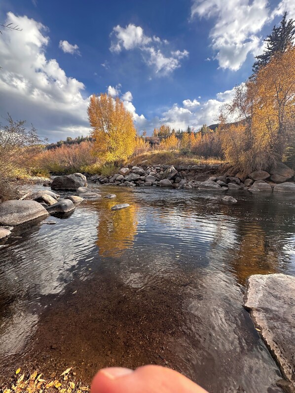Un río cristalino con rocas y árboles otoñales al fondo.