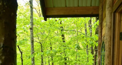 Maine Woods Treehouse-The Birdie
