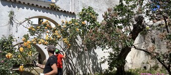 Donna Vittoria Mansion