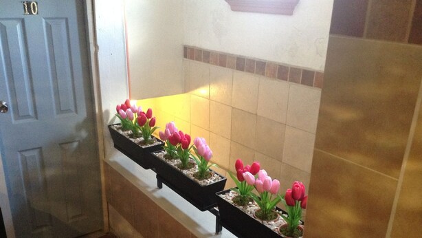 A hallway with a row of flower planters on a wall, a door labeled '10', and a tiled floor. - HOTEL TERRANOVA TAMPICO (Tampico)