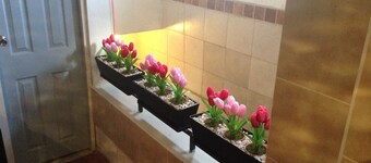 特拉诺瓦坦皮科酒店