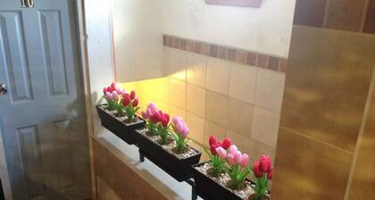 HOTEL TERRANOVA TAMPICO