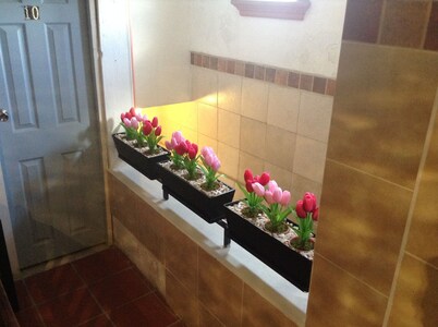 HOTEL TERRANOVA TAMPICO