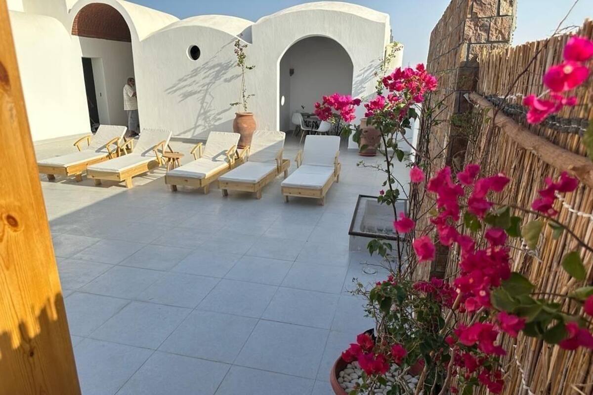 A rooftop terrace with lounge chairs, potted plants, and a bamboo fence.