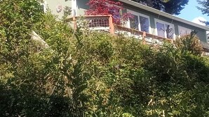 Een laag gebouw met een plat dak, omringd door dichte begroeiing en hoge bomen.