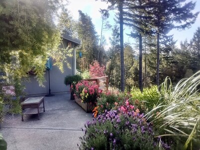 Peacefull hilltop cottage with huge ocean views!