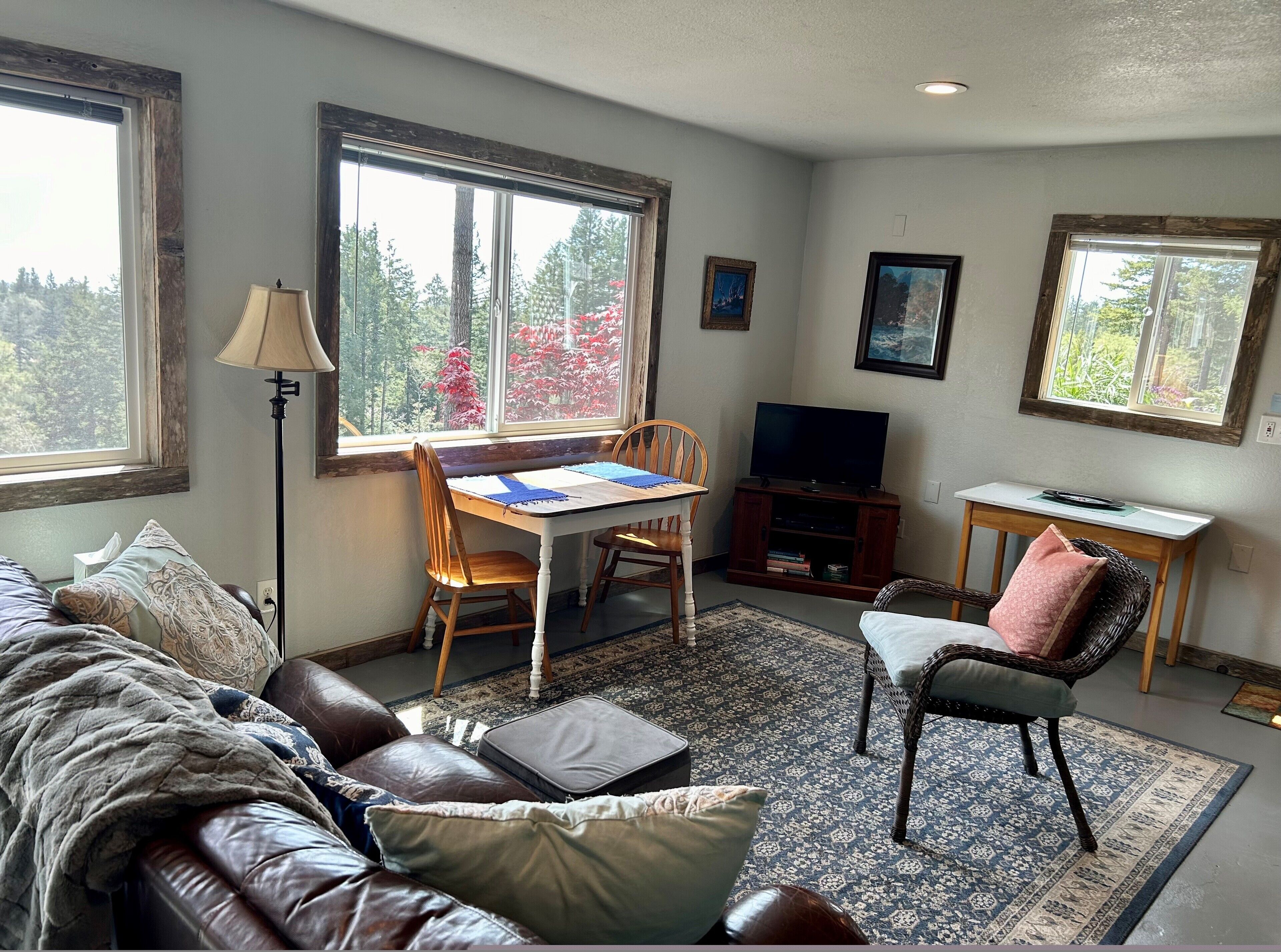 Smart-TV, DVD-Player, Bücher, Videothek