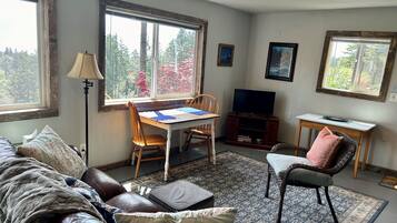 Smart-TV, DVD-Player, Bücher, Videothek