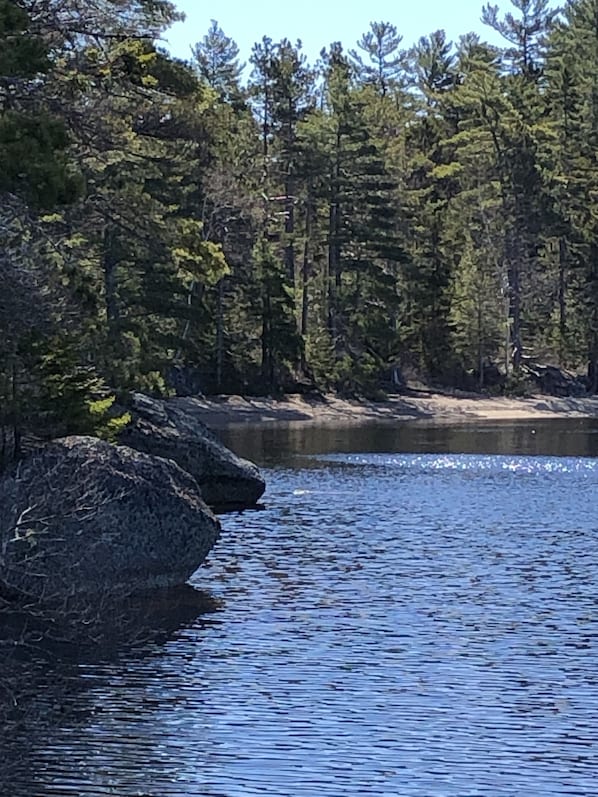 Un lago tranquilo rodeado de un bosque frondoso y grandes rocas.
