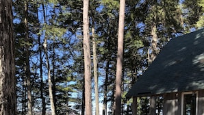 A cabin with a wooden deck and a view of a lake surrounded by tall trees. - Cozy, Off-Grid Camp on Spectacle Pond w/ private water frontage! (Osborn)
