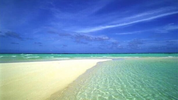 A beach with clear turquoise water and a sandy shore. - Condo# 219 Siesta key Paradise unit 219 (Sarasota)