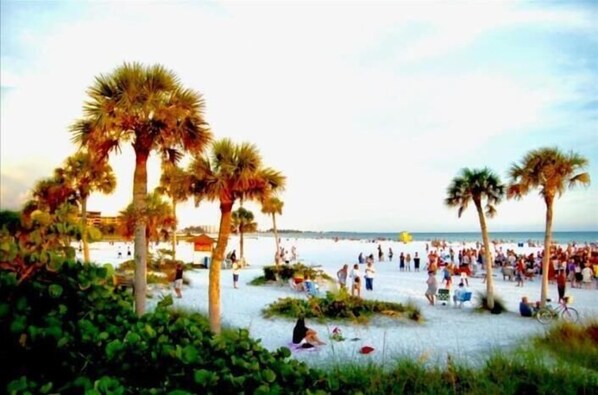 A beach with palm trees and people.