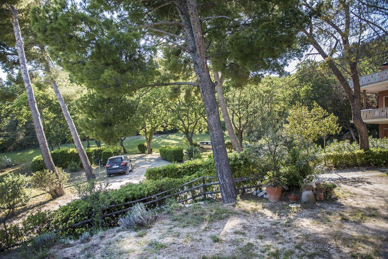 Parco della struttura