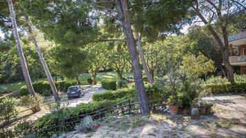 Parco della struttura