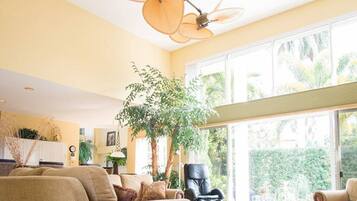 智能電視、壁爐、DVD 播放機、書籍