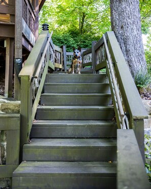 Overnattingsstedets uteområder