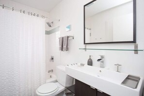 Combined shower/tub, hair dryer