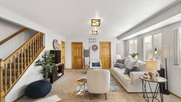 TV connectée, cheminée, lecteur de DVD, livres