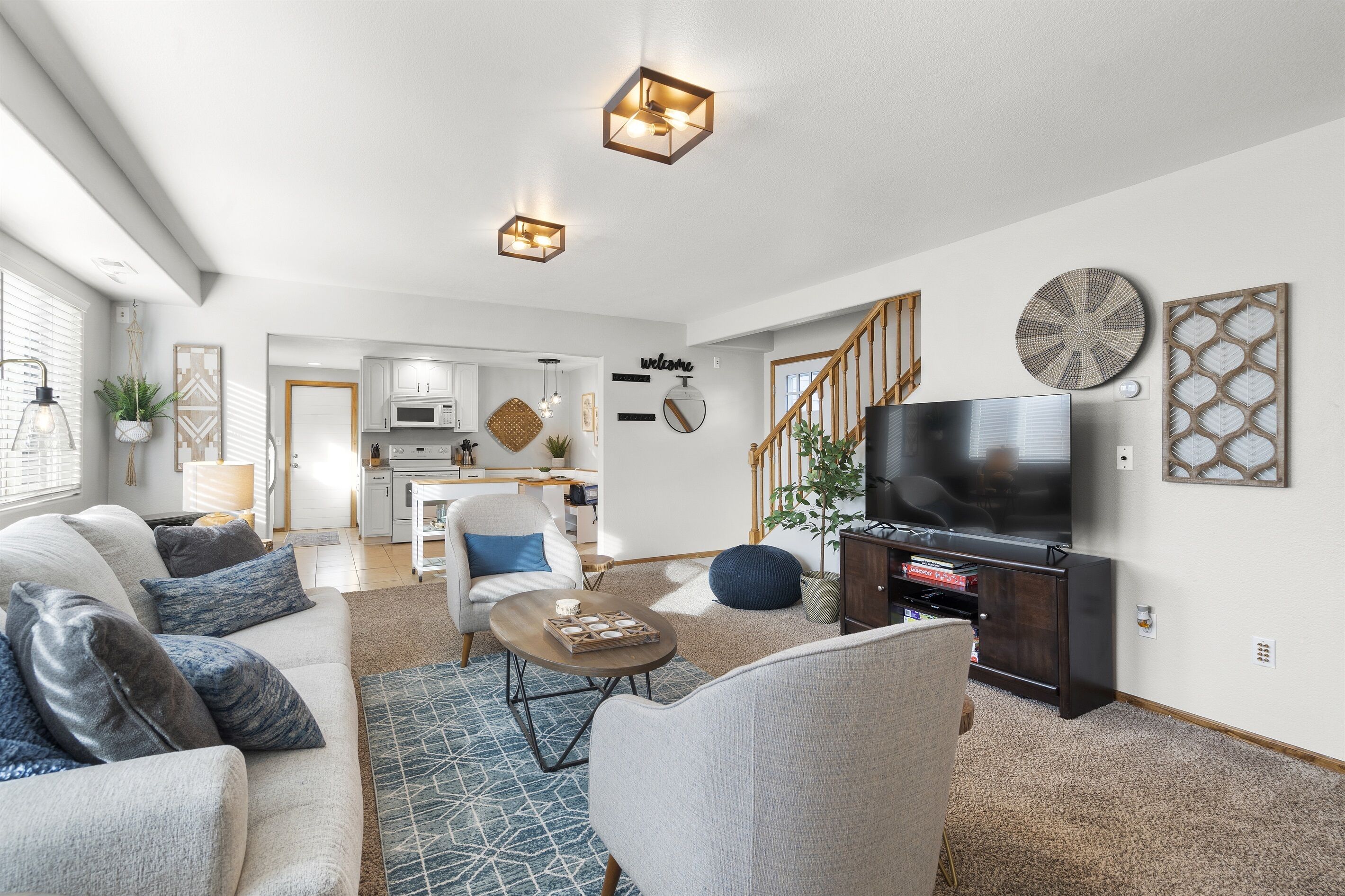 TV connectée, cheminée, lecteur de DVD, livres