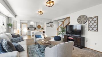 TV connectée, cheminée, lecteur de DVD, livres