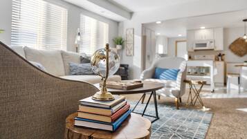 TV connectée, cheminée, lecteur de DVD, livres