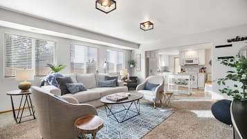 TV connectée, cheminée, lecteur de DVD, livres