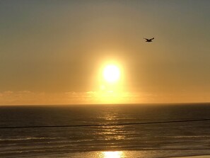 On the beach, sun-loungers, beach towels - The Grey Lady - A Serene Oceanview Coastal Getaway (Lincoln City)