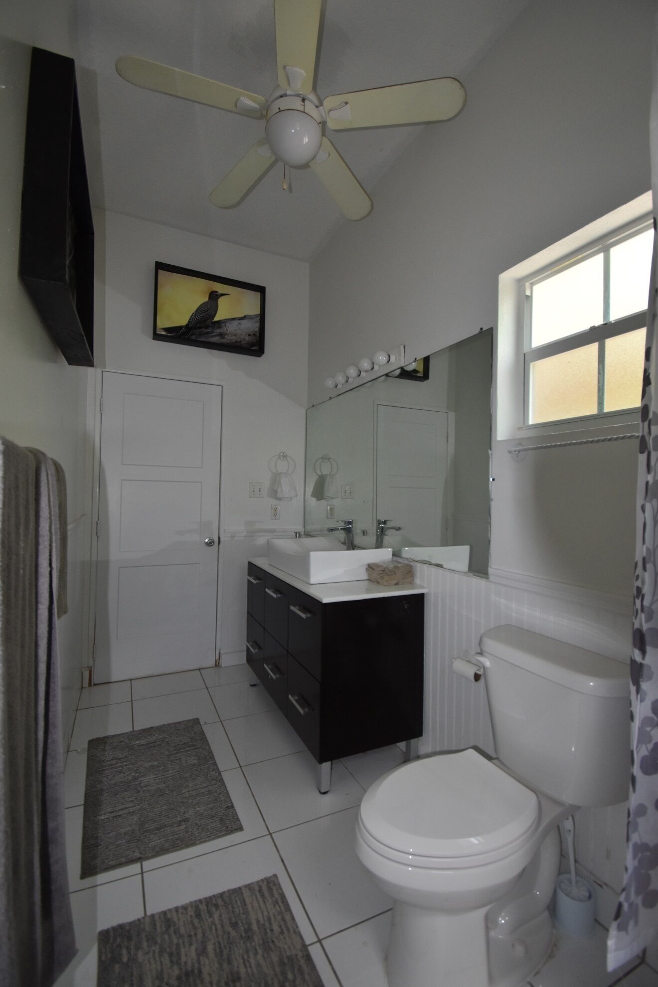 Une salle de bain avec des toilettes blanches, un lavabo avec un miroir au-dessus, un ventilateur de plafond et un tableau encadré au mur.
