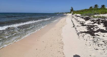 Quiet, private nature retreat with pool and ocean views.