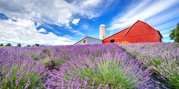 Áreas de la propiedad