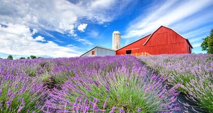 Modern, Huge, Hot Tub, Game Room! <1 mile from Lk Michigan, ADA & kid friendly!