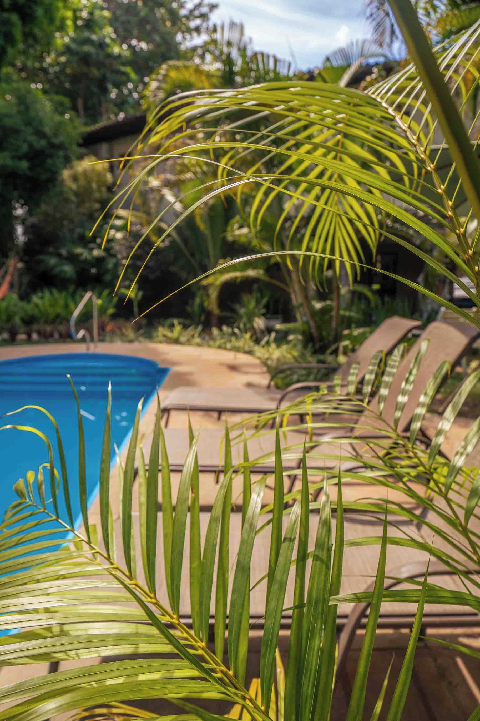 Outdoor pool, open 9:00 AM to 9:00 PM, sun loungers