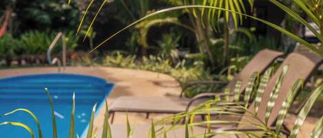 A poolside area with lounge chairs and palm foliage.