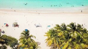 A beach with clear turquoise water, white sand, and palm trees. - THE BEST OCEAN VIEW GUARANTEED!!! (Fajardo)