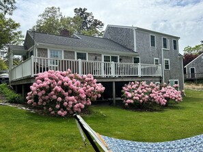 Exterior - Beach Glass—Space, Fun & Furry Friends Welcome (Brewster)