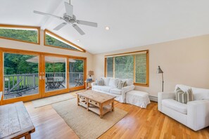 Smart TV, fireplace, DVD player, books