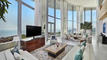 65-inch LED TV with satellite channels, TV