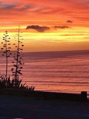 Unclassified image, 2 of 45, button