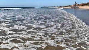 En strand med vågor som skvalpar in mot land, en klar himmel och några få personer på avstånd.