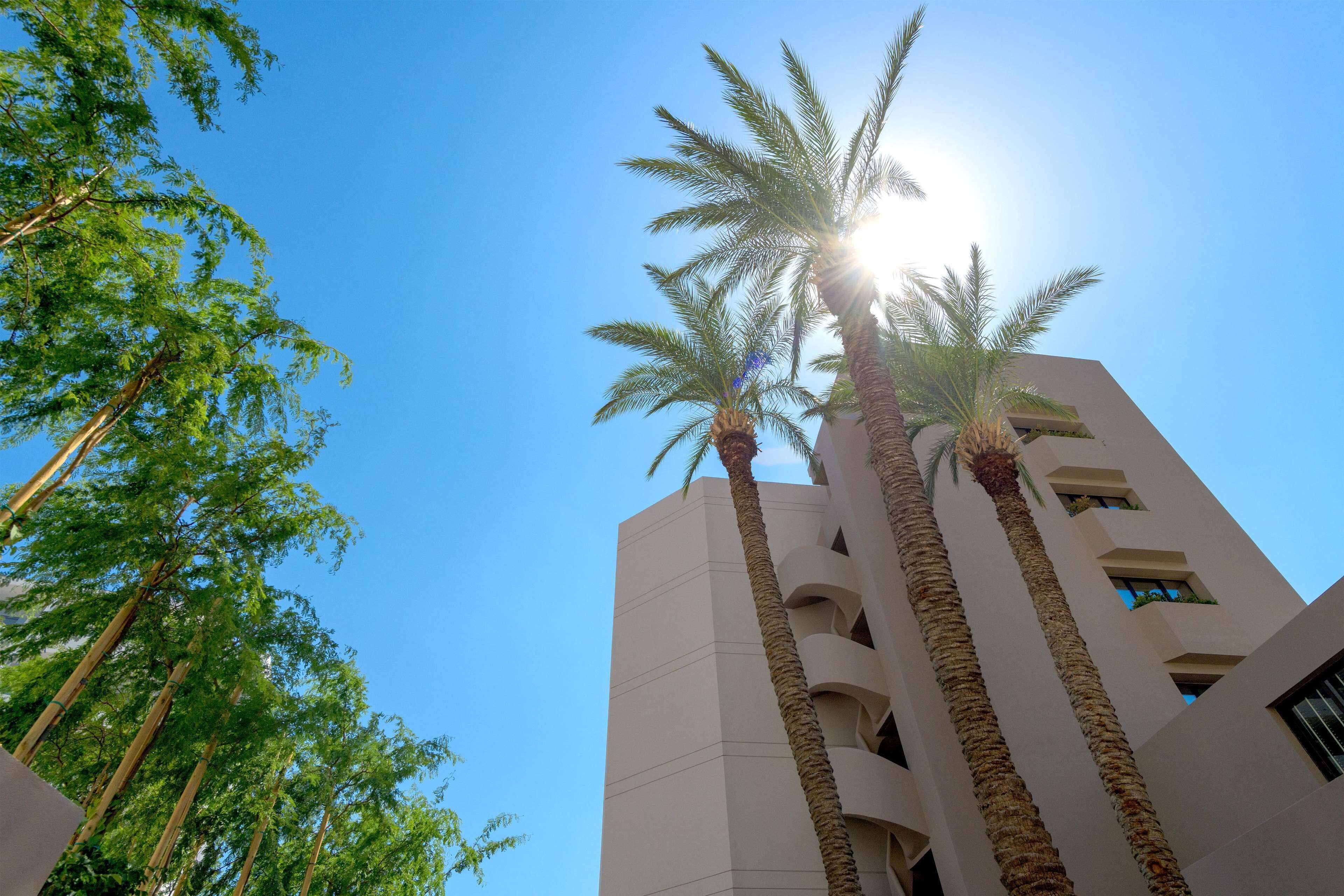 Photo - Ammades All Suites Beach Hotel & Spa - Adults Only