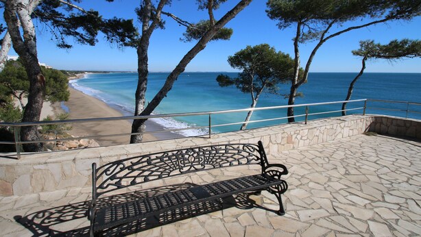 Un banco con vista a una playa, con una vista despejada del océano y árboles.