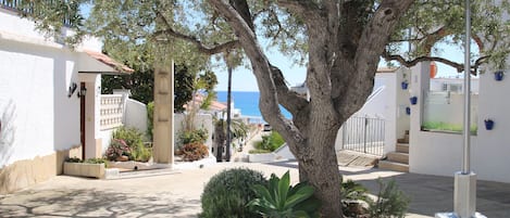 A tree-lined street with a view of the sea, white buildings, and a clear sky.