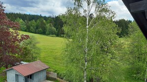 Une vue d’une maison avec un petit abri de jardin et un arbre dans la cour.