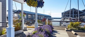 Studio w/ Seaside Charm! Full Kitchen + Easy Train to FIFA Seattle World Cup