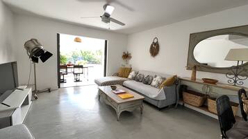 Televisión, reproductor de DVD, libros y biblioteca musical