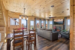 Télévision, cheminée, jeux vidéo, lecteur de DVD