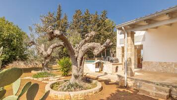 Parco della struttura